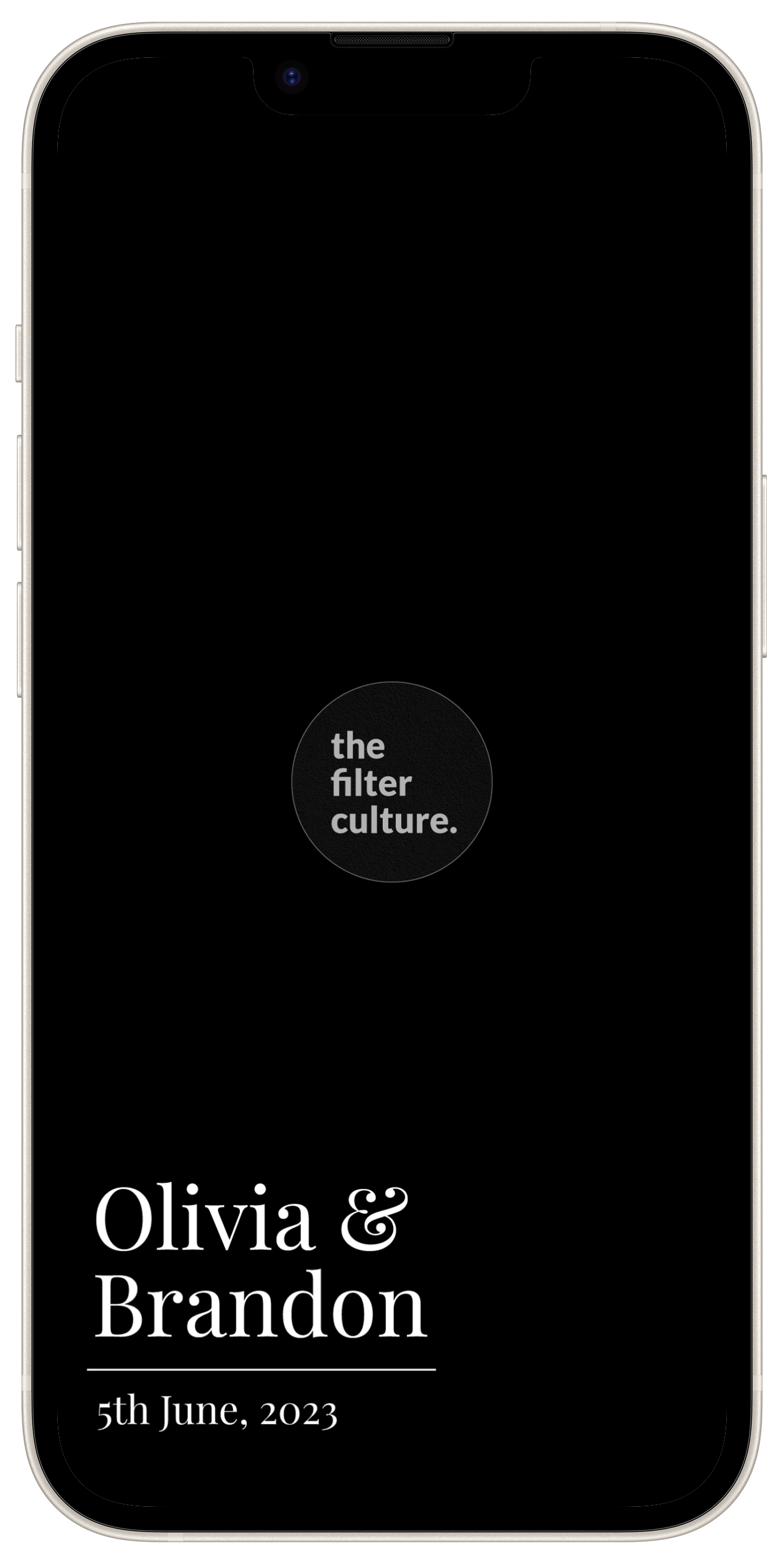 Wedding Snapchat Filters